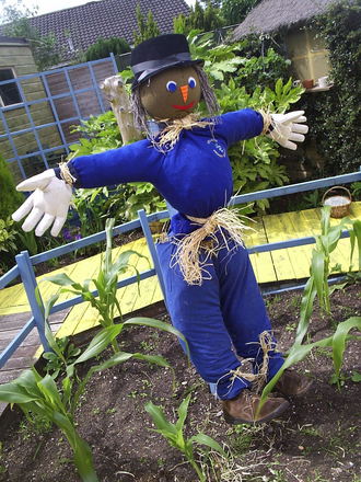 I had been wondering for some time about who stole my gardening boots!
