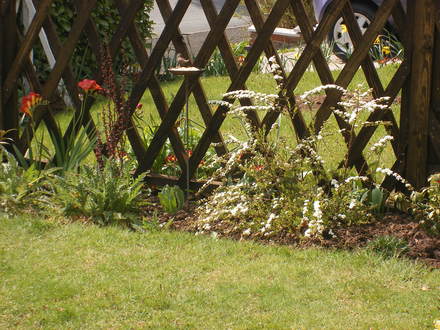 SPIREA 