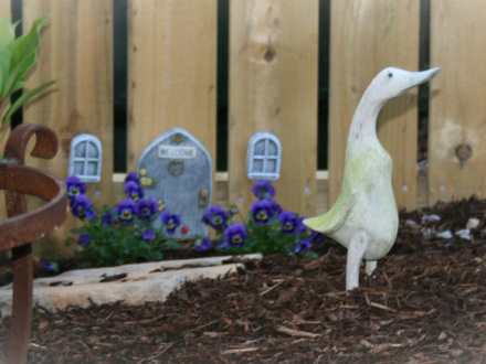 duck 