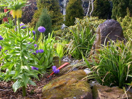 A garden flower photo