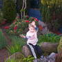 A garden flower photo