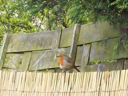 Looking 4 Supper :)