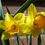 Dsc03298