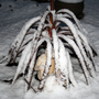 Lovers_snowed_in