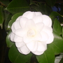 Pict0824
