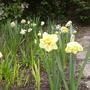 Pict0780