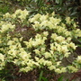 Pict0800