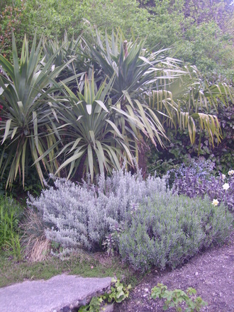 Side garden street view
