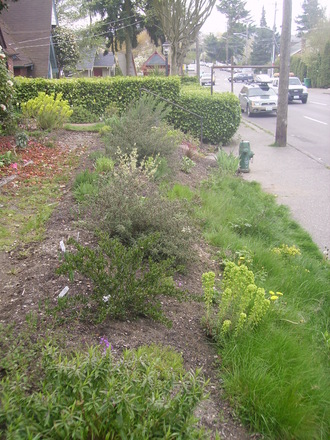 Front garden