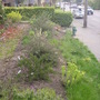 Pict0845