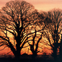 Avalon_sunset_copy