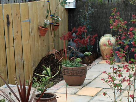 Garden 08
