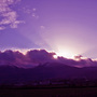purlple