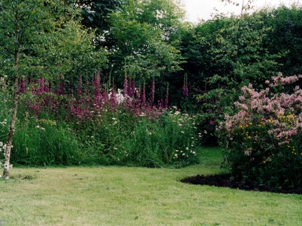 Garden 2002