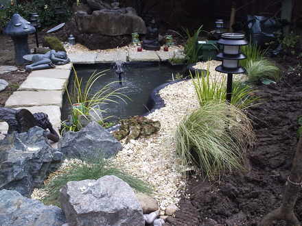 New Pond 