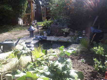 New Pond