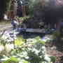 New Pond