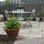 Sunshine2 (Cytisus 'Golden Tears' & Sutera Cabana)