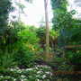 Dscn1289
