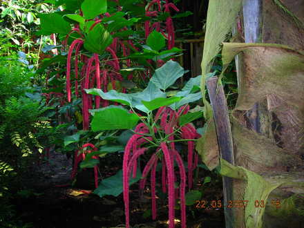 DSCN1294.jpg