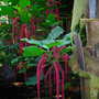 Dscn1294