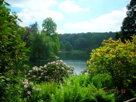 View at Stourhead.jpg