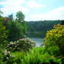 View at Stourhead.jpg