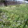 Our_days_out_032