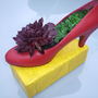 Rubyslipperplanter