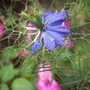 100_6356_-_copy