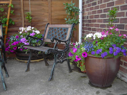 corner of the patio 2007