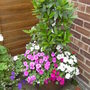 Copy_of_gardens_011