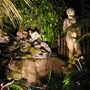 Garden_at_night_013