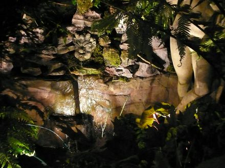 View of the wildlife pond at night.