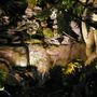 Garden_at_night_017
