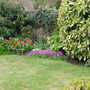 Front_garden_2
