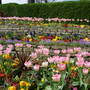 Spring is here!!