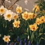 Scan0007