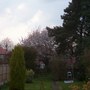 22041.jpg