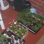 2204porch.jpg