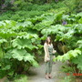 Dsc00700