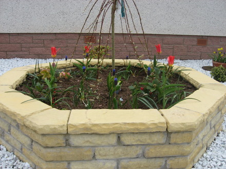 Raised Bed