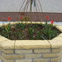 Raised Bed