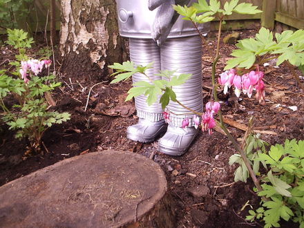 Tin Man has many hearts now.