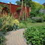 A garden flower photo