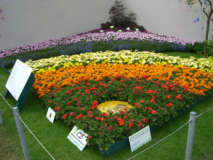 The Smile Garden