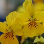 Img_0198