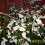 Up_to_23_april_2008_038
