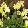 Up_to_23_april_2008_060