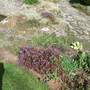 Scree_bed_on_top_of_bridge